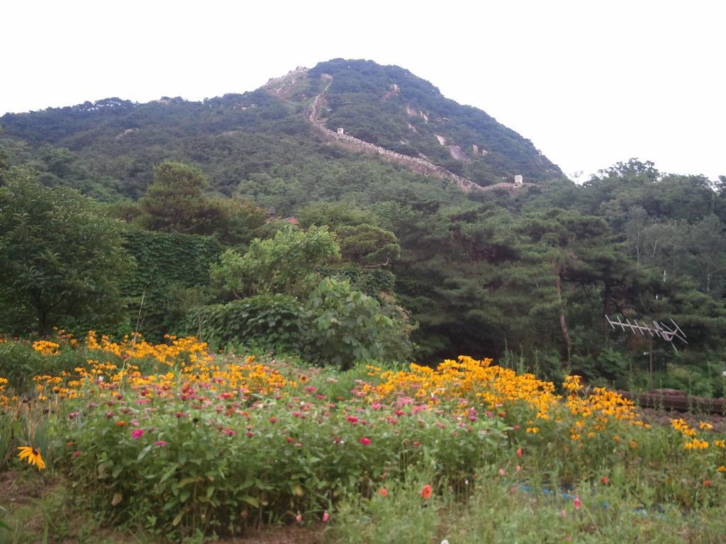 Guesthouse The Kims Seoul Bagian luar foto